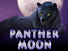 Игра Panther Moon в казино 777 - играть бесплатно
